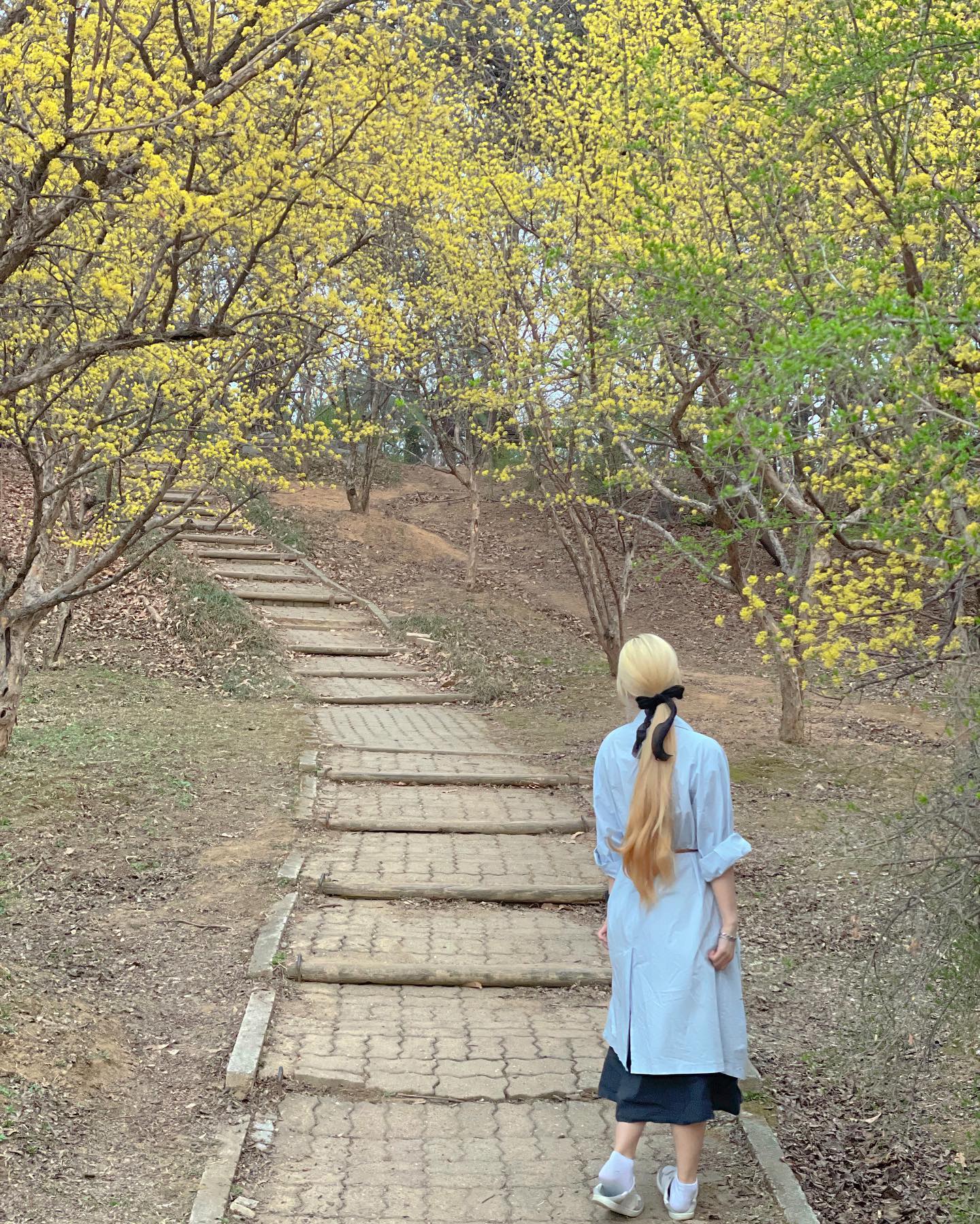 콘텐츠