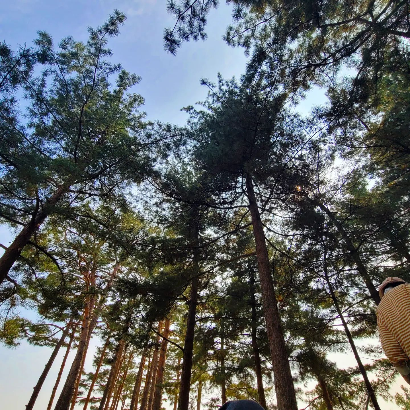 해피 해피 해피~~~ 꽃구경