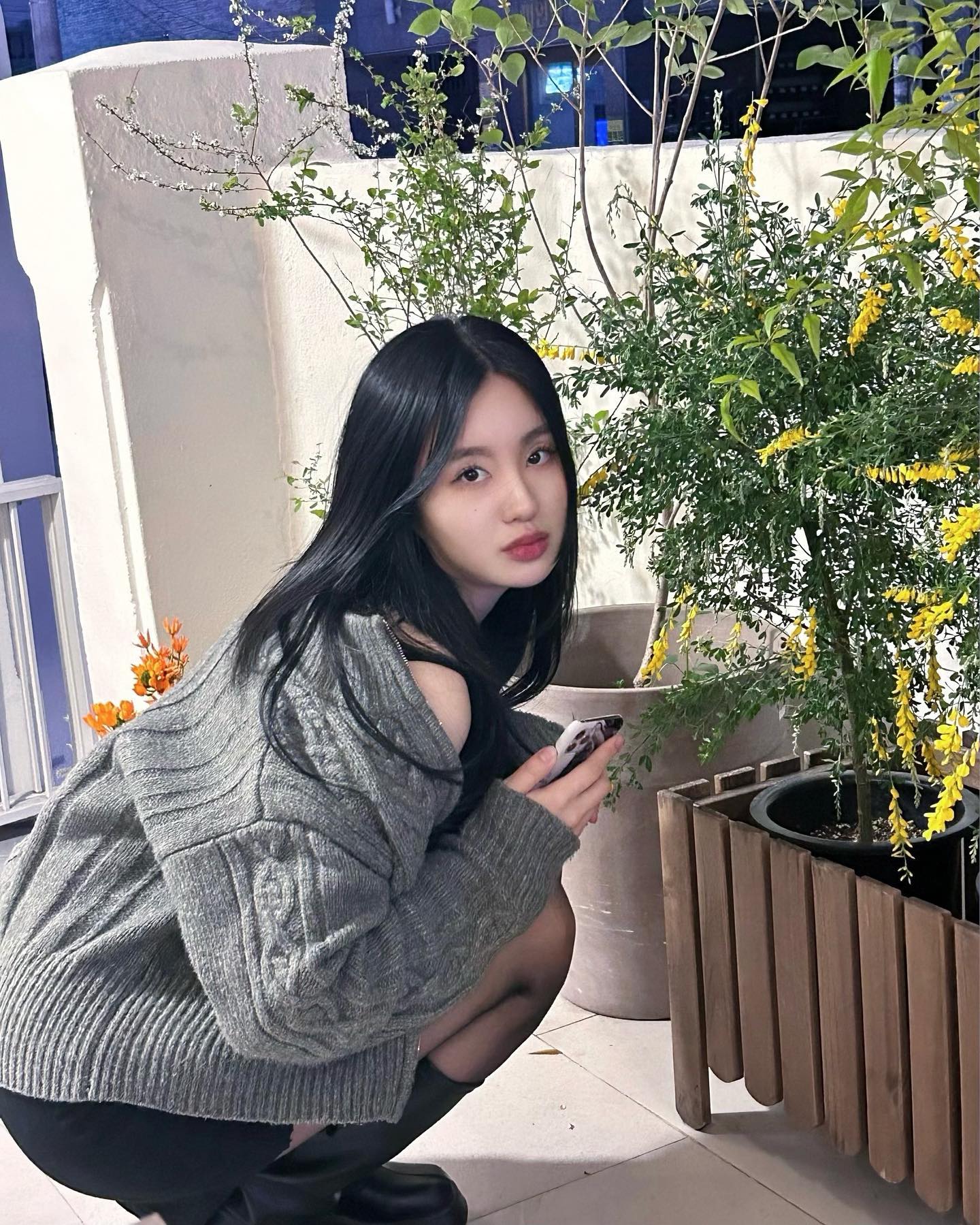 봄봄봄봄ᰔᩚ