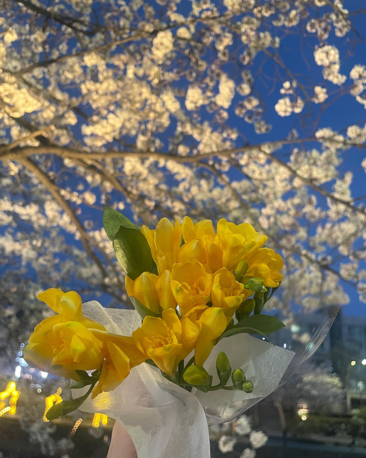 콘텐츠
