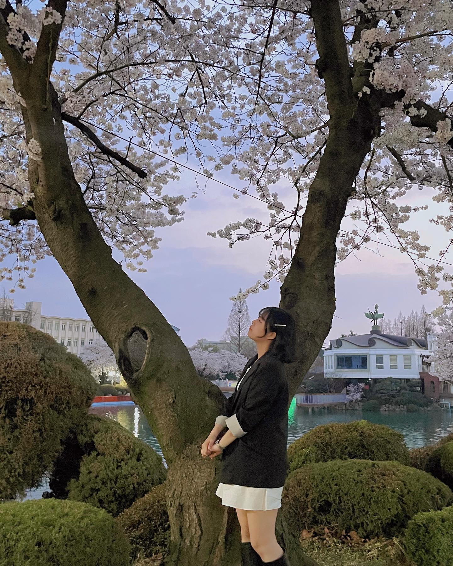 벚꽃엔딩👋