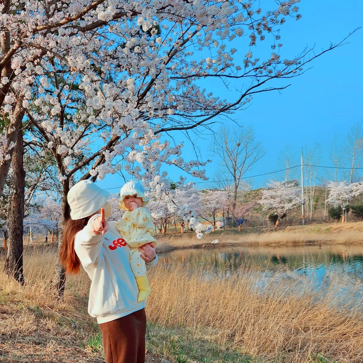 첫 벚꽃 구경 🩷
내새꾸랑 첫 봄 그리고 첫 벚꽃๓
행복한 봄날이야🫶🏻

#9개월아기 #첫벚꽃구경 
#사랑해딸 #도치맘