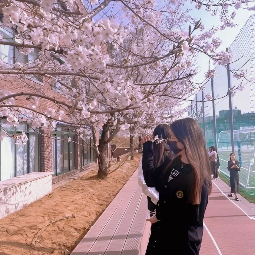 봄이당🩷
.
.
.
.
.
.
.
#좋아요 #좋반 #좋아요반사 #맞좋 #좋아요테러 #맞팔 #선팔 #선팔맞팔 #팔로우 #follow #like #likes #협찬환영 #협찬문의 #07 #07년생 #좋테 #좋아요테러반사 #좋테반사 #좋아요늘리기 #followme #photo #고등학생 #fyp #추천 #instalike