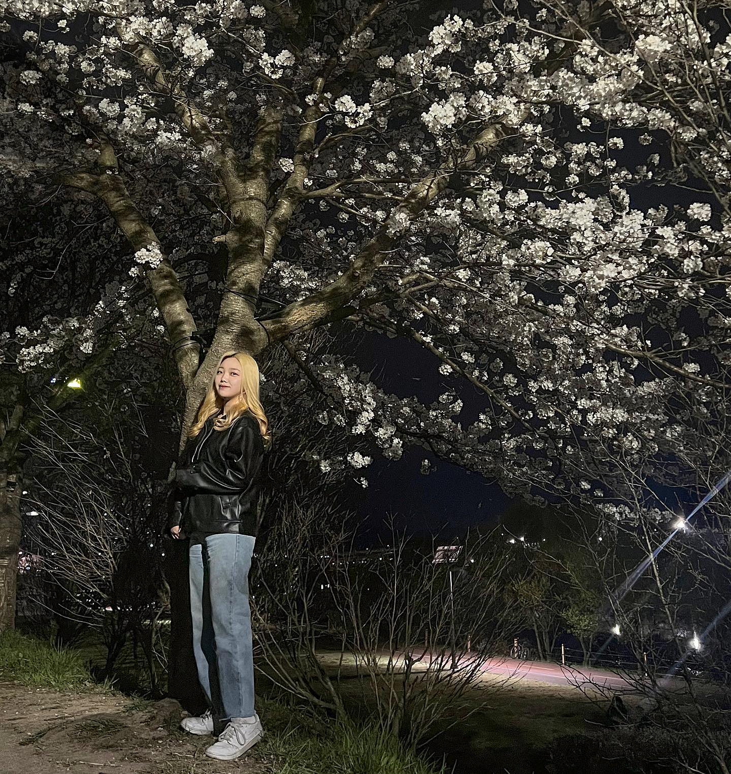 봄🌸