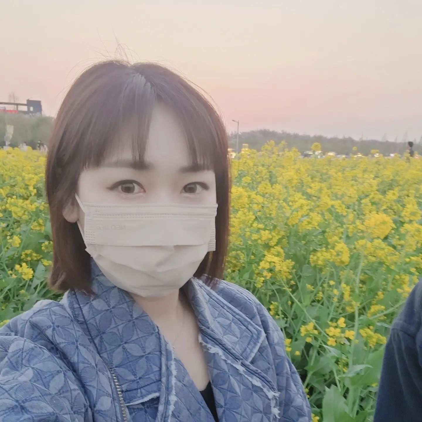 #마지막벚꽃 앤 #유채꽃
#낙동강30리벚꽃축제🌸
