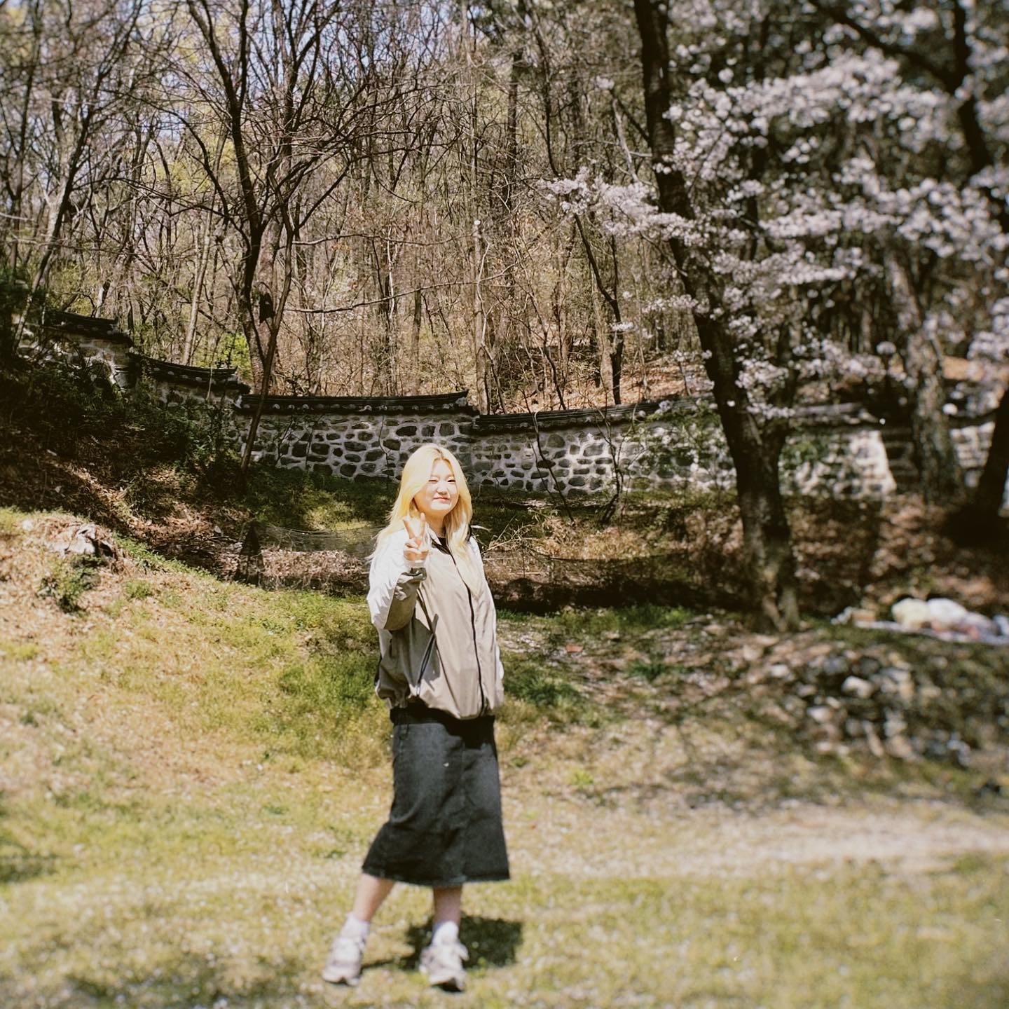 콘텐츠