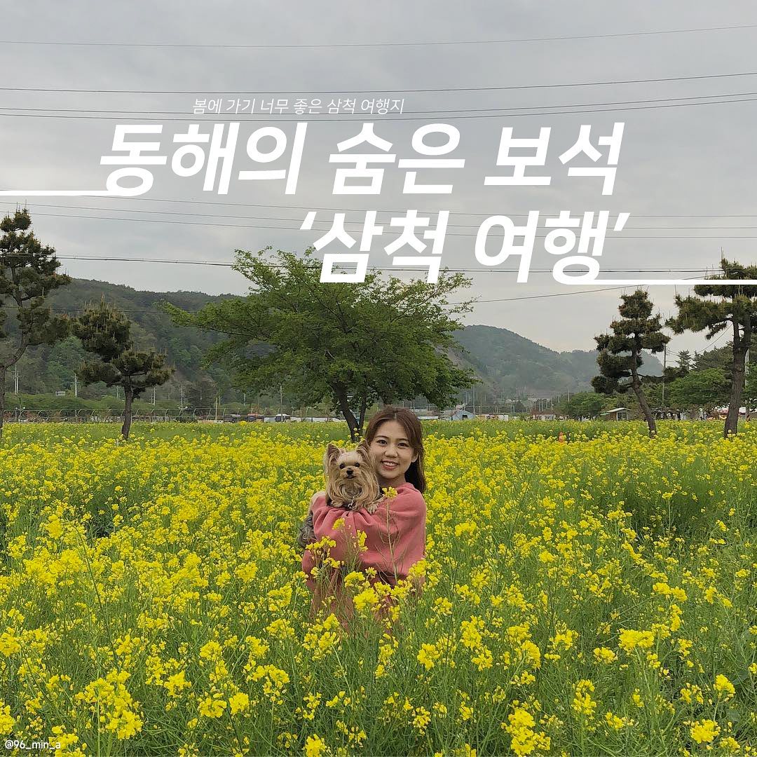 #지자체지원 #삼척

봄에 가기 너무 좋은🌼
: 삼척 여행지 추천 :
 
#맹방유채꽃
📍강원 삼척시 근덕면 상맹방
- 지금 딱 만개한 유채꽃을 볼 수 있어요!🫶
- 4/7~4/16 유채꽃 축제가 열린다고 하니까 이번 봄에는 삼척으로 떠나요 :))

#장미공원
📍강원 삼척시 정상동 232
- 장미공원이지만 3월에는 길게 이어진 벚꽃나무들을 볼 수 있어요!
- 팝콘같은 벚꽃 구경하면서 인생샷까지 남겨보세요!🌸📸

#미인폭포
📍강원 삼척시 도계읍 심포리
- 삼척하면 미인폭포! 꼭 가봐야하는 곳!💙
- 에메랄드빛의 폭포수가 신비로운 분위기를 느끼게 해줘요~

#맹방해수욕장
📍강원 삼척시 근덕면
- BTS 뮤직비디오 촬영지로 유명해진 맹방해수욕장!🎬
- 탁 트인 바다도 보고 촬영지도 구경하고 완정 일석이조!!

#죽서루
📍강원 삼척시 죽서루길 37
- 삼척 대표 관광지 죽서루!🌿
- 산책하기 좋은 산책로부터 주변경관까지 아름다운 곳!

#삼척해양레일바이크
📍강원 삼척시 근덕면 공양왕길 2
- 시원한 바람 맞으면서 힐링하기 좋은 이색적인 체험!
- 바로 옆 바다를 보면서 페달을 돌리면 힘든 줄도 몰라요🛺

#덕봉산해안생태탐방로
📍강원 삼척시 근덕면 덕산리 산136
- 맹방해수욕장과 덕산해수욕장이 한눈에 보이는 곳!
- 바다를 보면서 산책도 하고 바다가 보이는 계단에서 인생샷 찍기👍👍

#활기치유의숲
📍강원 삼척시 미로면 준경길 651-230
- 피톤치드 가득한 숲속에서 힐링하기 너무 좋은 곳〰️💚
- 힐링 그 자체인 스팟에 다양한 체험까지 할 수 있다구요!
.
.
#대한민국구석구석 #삼척시 #강원도 #삼척여행 
#삼척여행지 #삼척여행코스 #삼척여행추천 
#삼척여행지추천 #삼척카페 #삼척가볼만한곳 
#삼척핫플 #동해여행 #강원도여행지 #강원여행추천 
#강원도여행지추천 #봄여행 #봄여행지 #국내여행 #국내여행지