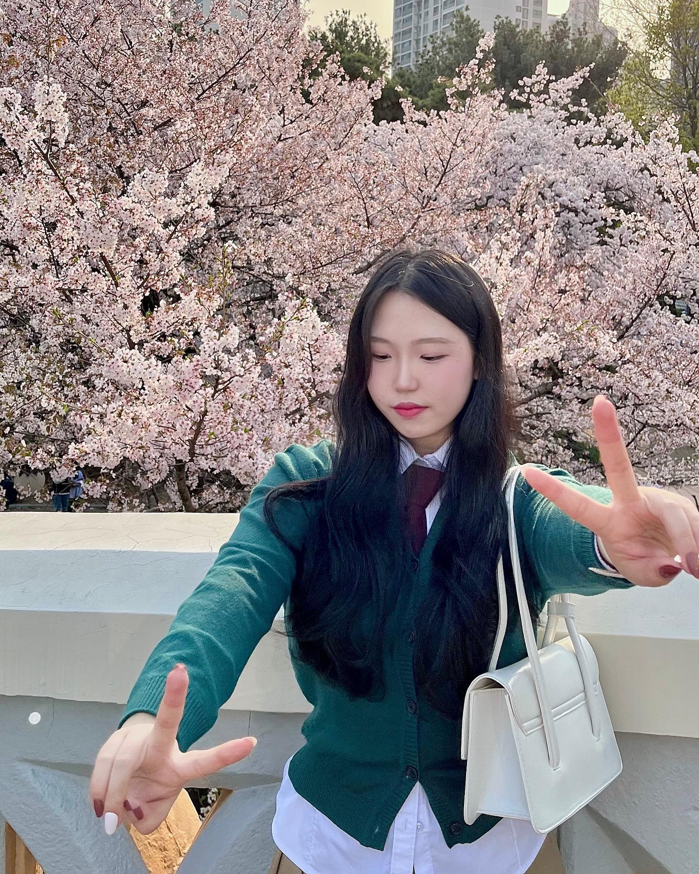 🎡🌸🤍