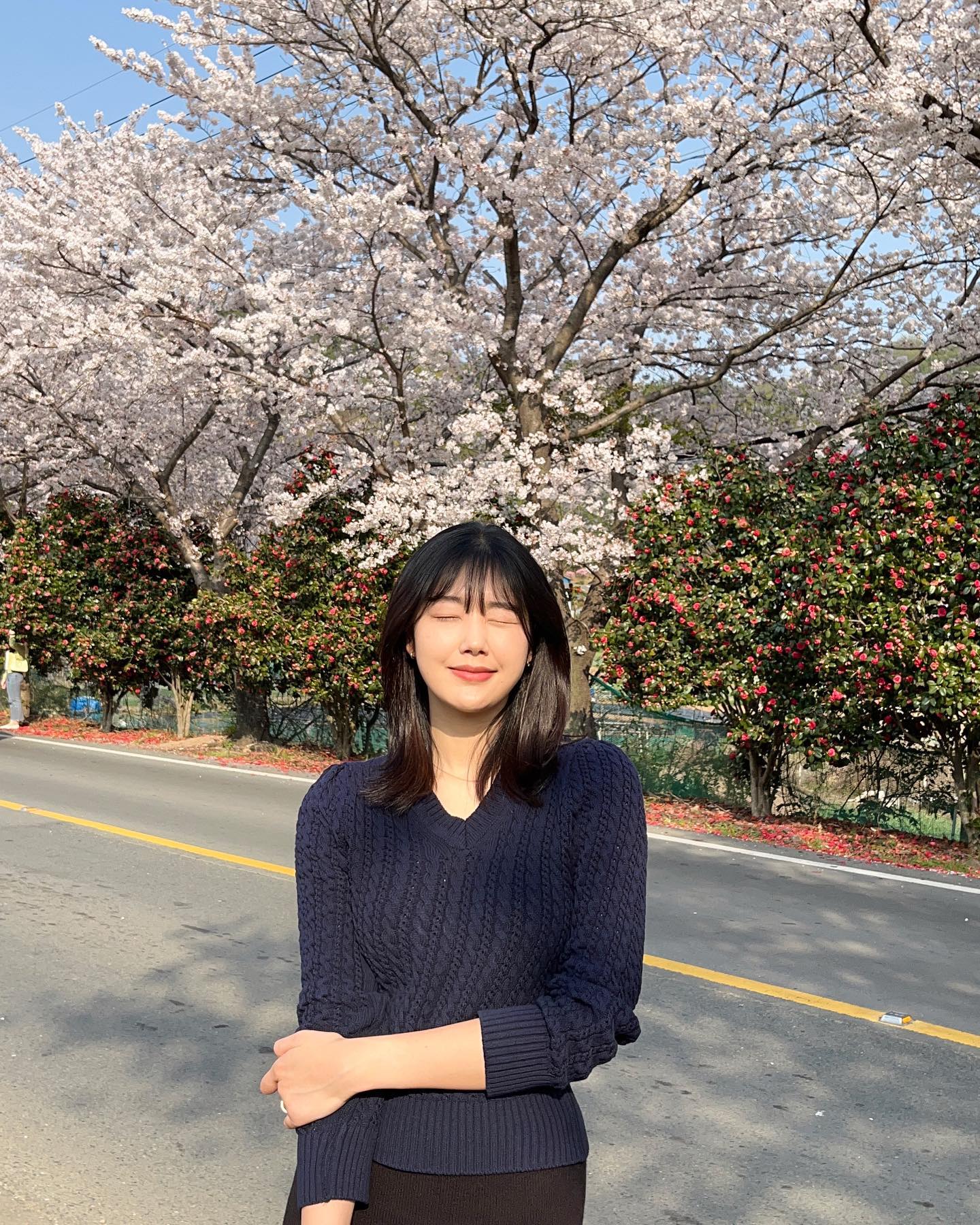 눈부셔 죽는 줄 ~ 자연광 최고 🌸🌺💫

1차선 도로라 차는 좀 막히지만 예쁘니까 괜찮아,
#벚꽃 + #동백꽃 콤보로 드라이브 코스 왕 추천 !
내려서 사진도 찍고 보다 더 여유롭게 즐기려면
주말보단 평일에 가는 걸 추천합미다 ~~~ 🩷