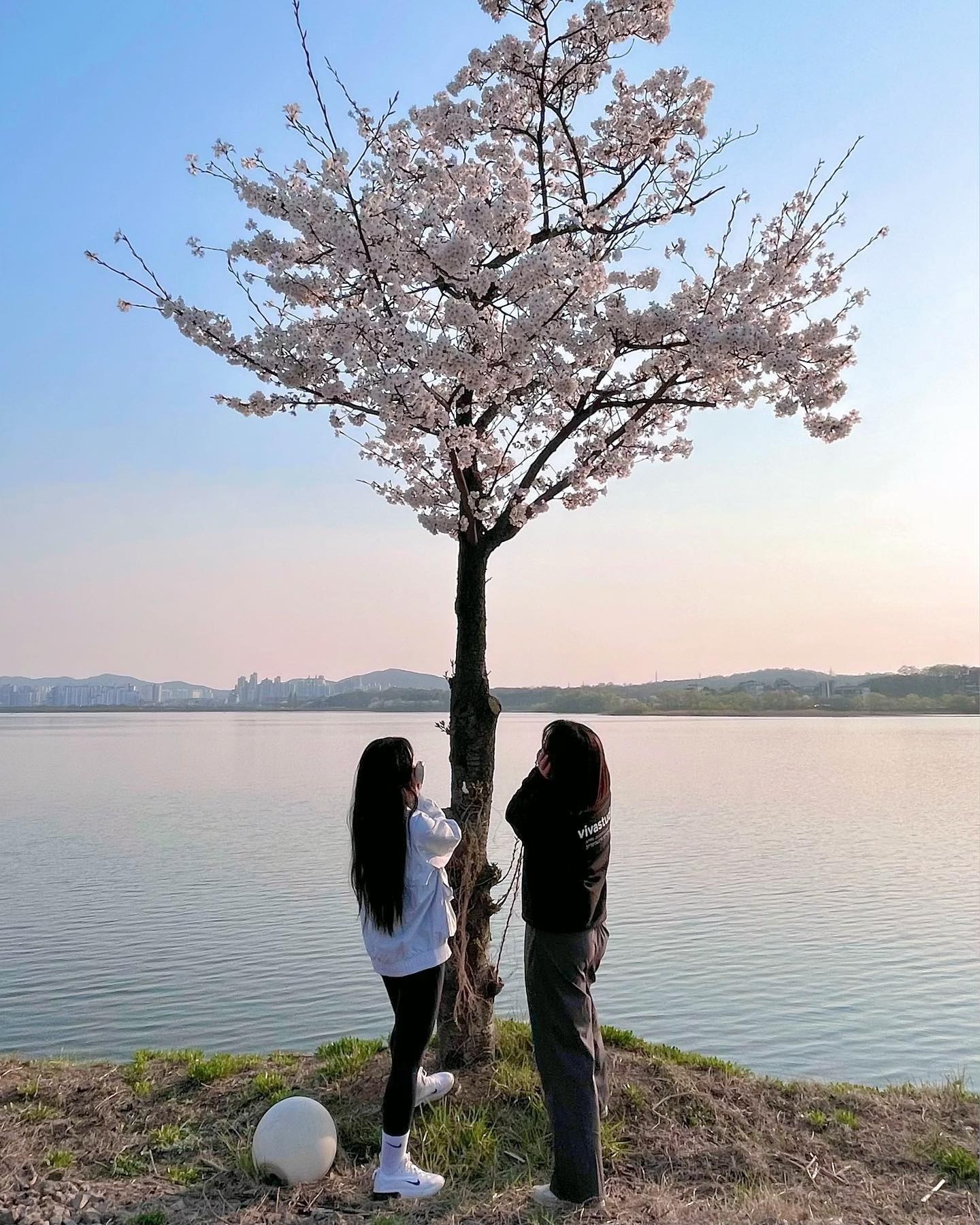 오(늘)운(동)완(료)
#오운완 #개모임 #주말은다이어트 
내일은 #치팅