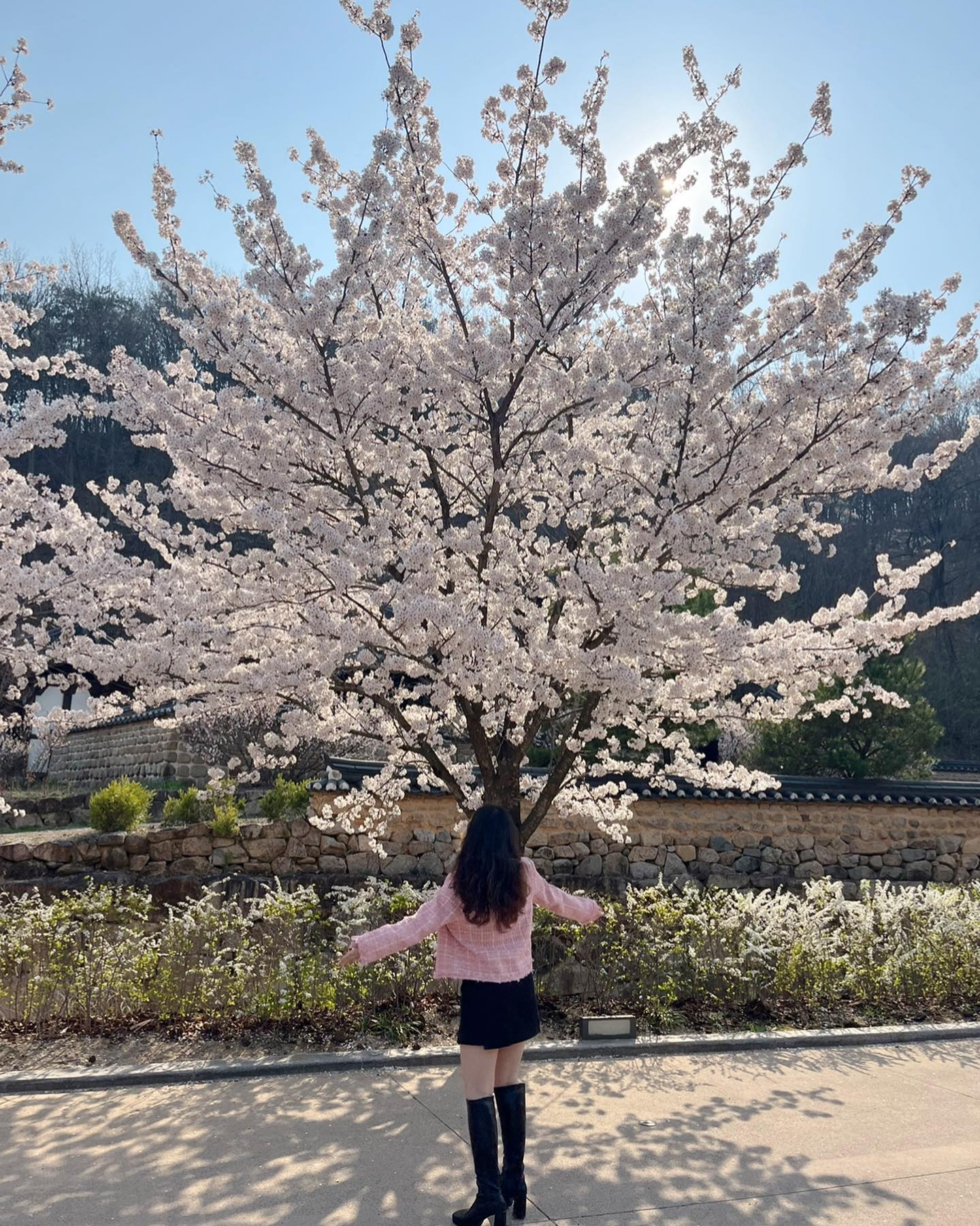 🌸