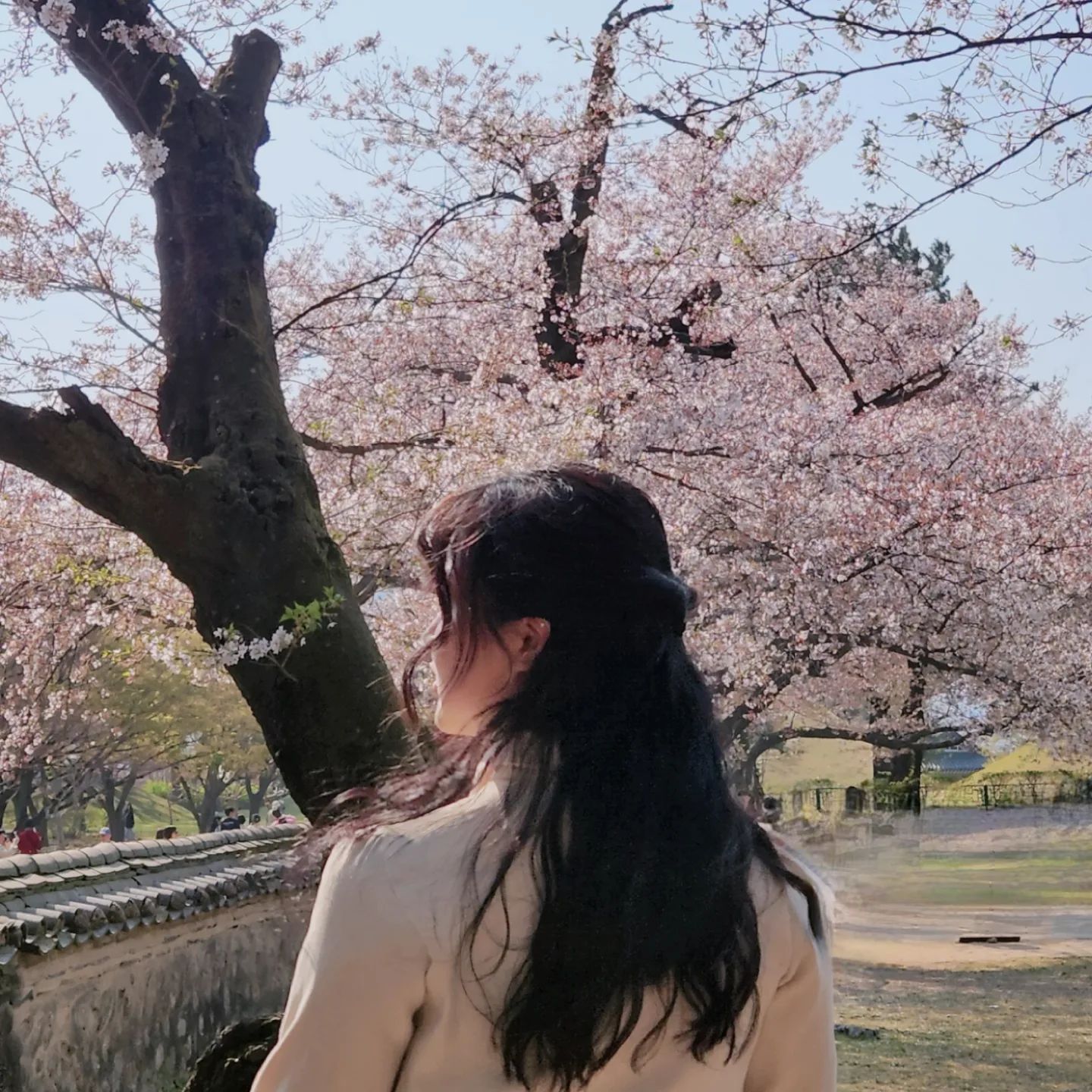 나 오랜만애 놀앗따 !

우아 이거 노래도 추가가능하네