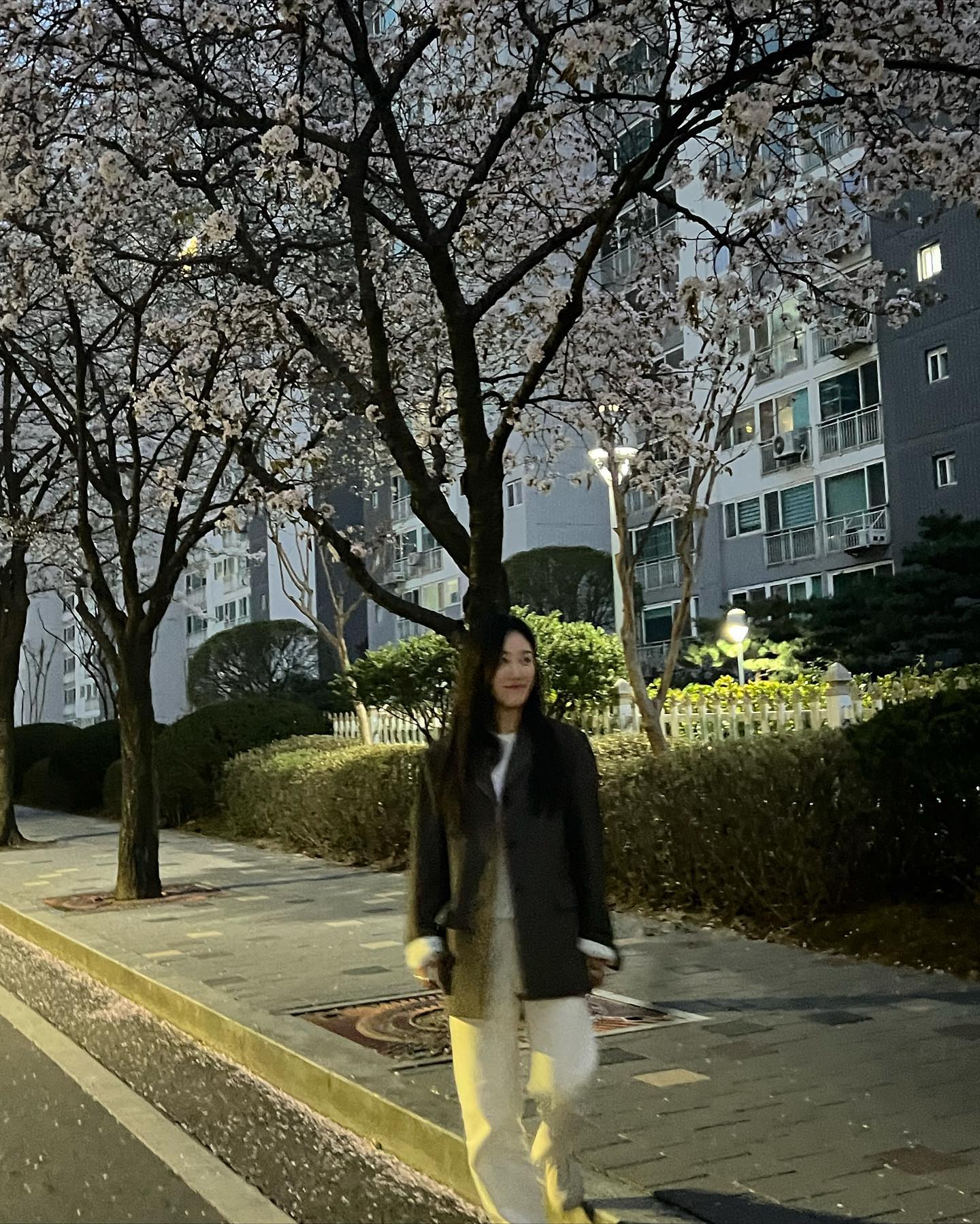 #벚꼬츠 🌸 
사람많은거 싫어서 이번년도엔 동네에서! 이게 최고다..🫶🏻 
(근데 다 원본인데 사진이 왜이렇게 일그러져있고 흐린지 아시는분...)