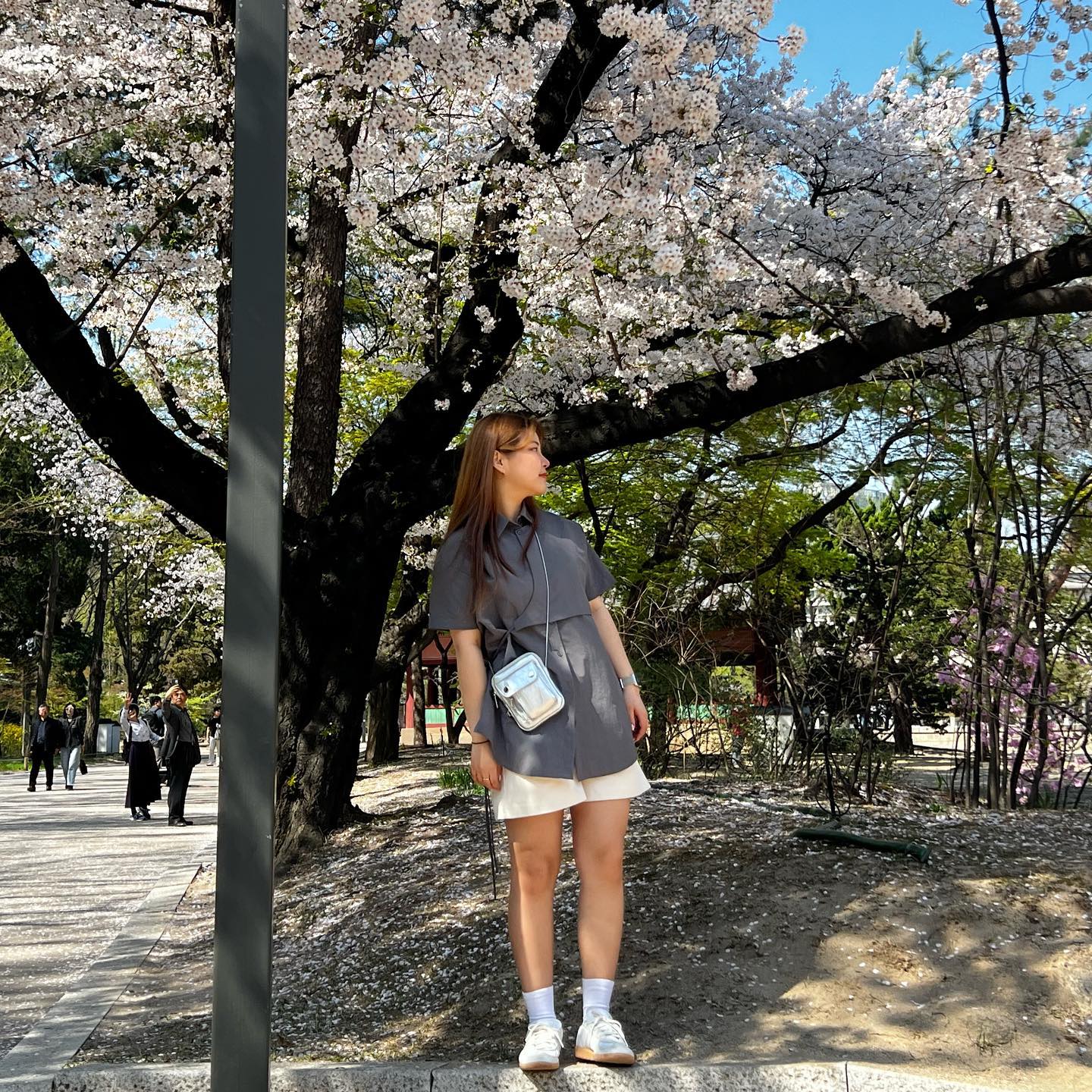 봄이 그렇게도 좋냐 멍청이들아