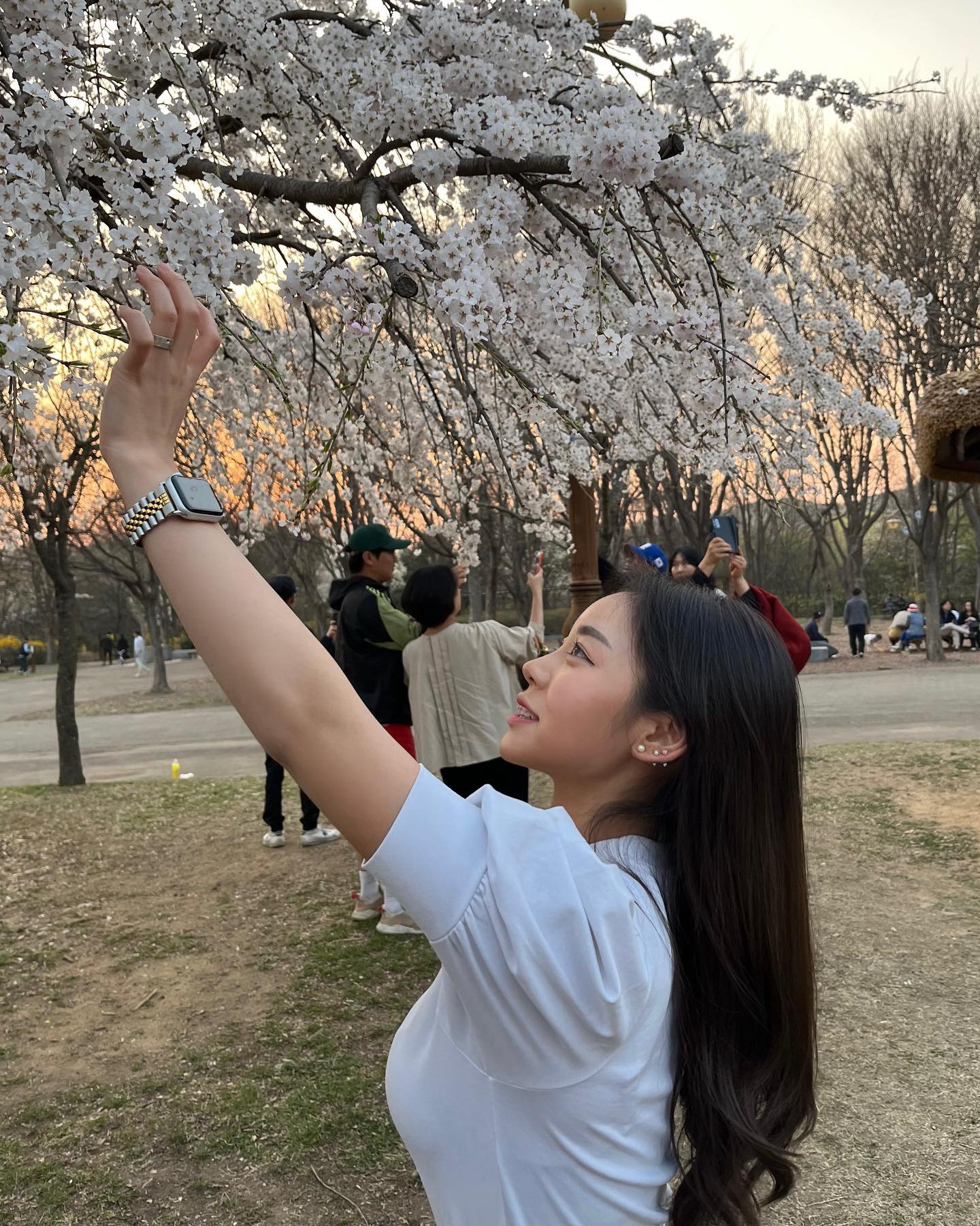 나두 벚꽃봐따🌸🤍