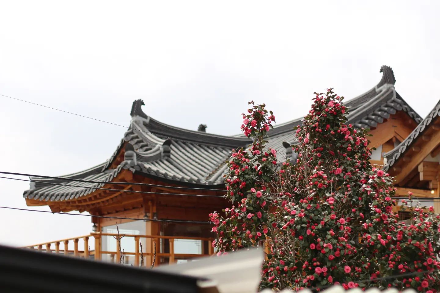 경주 풍경사진 중 제일 마음에 드는 사진이에요 🥰

📷 : Canon 100D + Tamron 17-50

#인물사진 #캐논 #캐논100d #풍경 #탐론1750 #탐론 #좋반 #fff #맞팔 #선팔 #선팔하면맞팔 #동서대 #부산 #온천천 #좋아요반사 #50mmf18 #캐논1855mm #벚꽃 #스냅사진 #사진 #사진계정맞팔 #사진스타그램