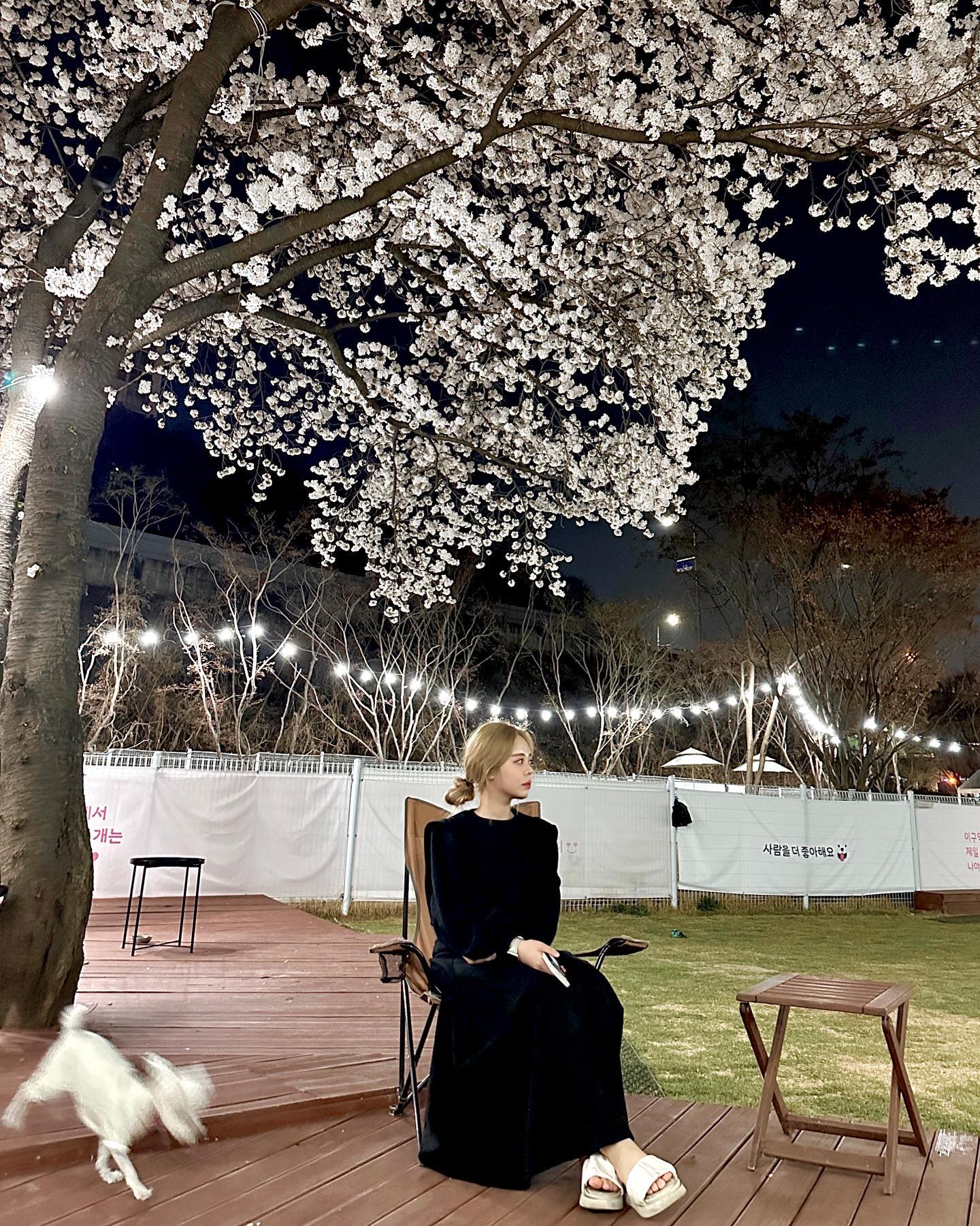 귀여운 콩이랑