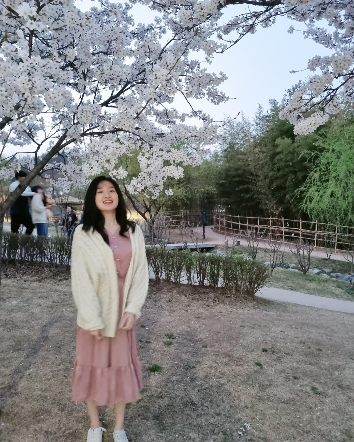 🌸🌱