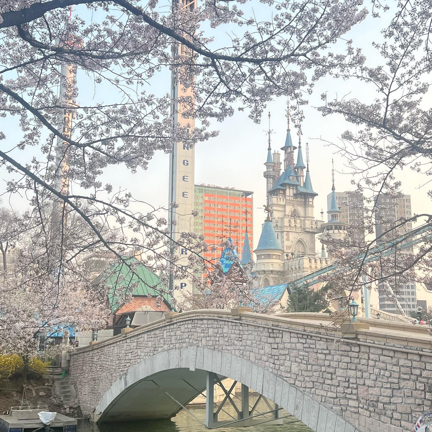 콘텐츠