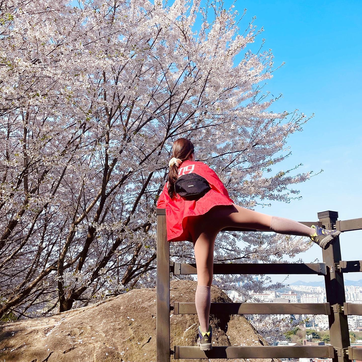 팝콘 잔뜩 용마산 등반 🌸

#용마산 #망우산 #등산 #등산스타그램 #벚꽃 #벚꽃놀이 #주말일상