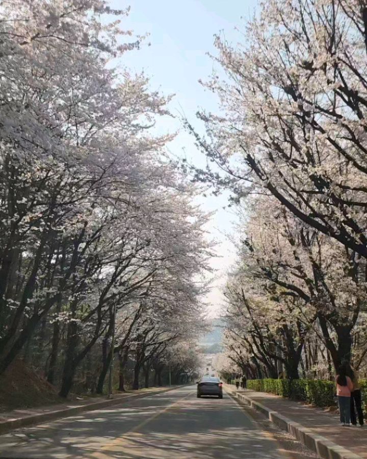 .
.
.
.
떨어지기전에 동네아저씨랑 호다닥
아니근뎈ㅋㅋㅋㅋㅋㅋ
먹는거 아니라곸ㅋㅋㅋㅋㅋㅋ
ㅋㅋㅋㅋㅋㅋㅋㅋㅋㅋㅋㅋ
ㅋㅋㅋㅋㅋㅋㅋㅋㅋㅋㅋㅋㅋㅋㅋ

#쇼윈도부부 #신정호 #벚꽃