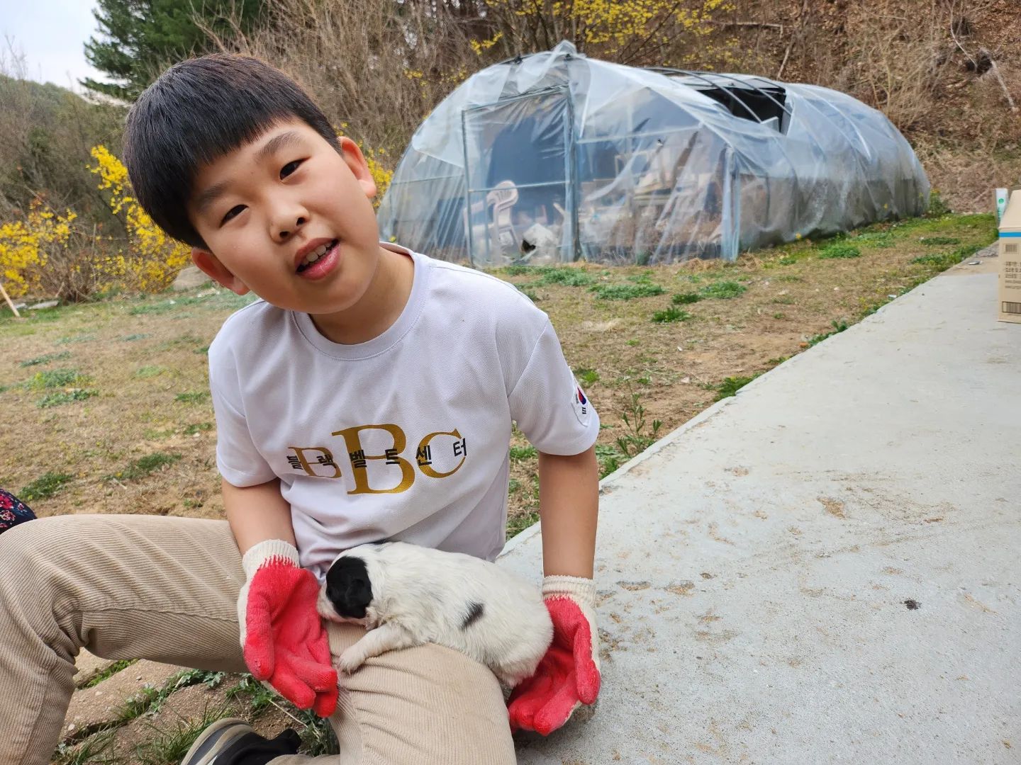 .
주말에 아빠랑 할미네 다녀온 서윤잉.
서윤이 6살 생일선물로 키우게 된 심순이가 엄마가 되었다 :) ㅎㅎ 
너무 귀여운 강아지 세마리에 씬이난 아들_
.
.
할미네서 나무도 심고,
대형드론으로 배나무에 약주는 것도 구경하고,

너도 신나고 나도 신났던,
주말 끄읕!