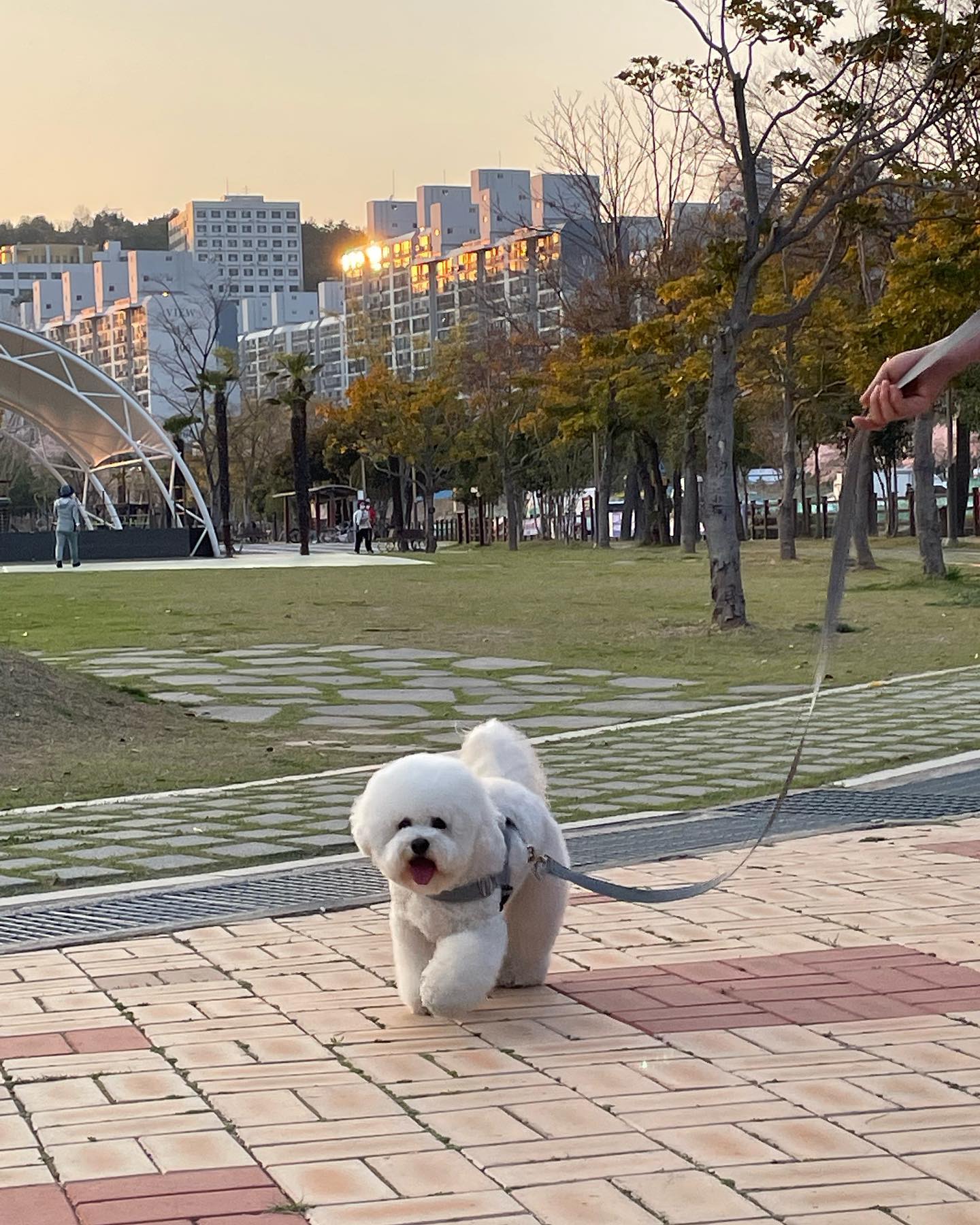 날이 좋아서 기분이 넘 좋잖아 :) 🌸