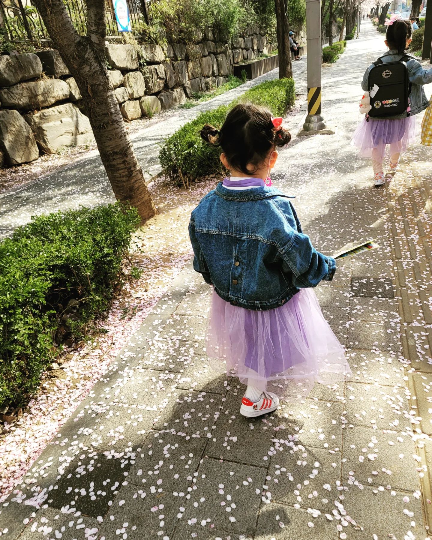 벚꽃이 만개한 등원길🌸
"엄마~오늘 날씨가 너무 좋아~그치~?"
"꽃에서 향기가 나~"
"엄마~꽃향기가 좋다~엄마도 맡아봐~"
라며 신나서 등원하는 딸래미👨‍👩‍👧

#유치원등원길
#벚꽃만발🌸
