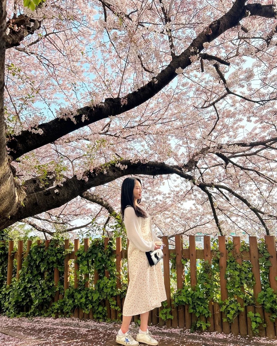 🌸구경

#부산 #여행 #꽃구경
