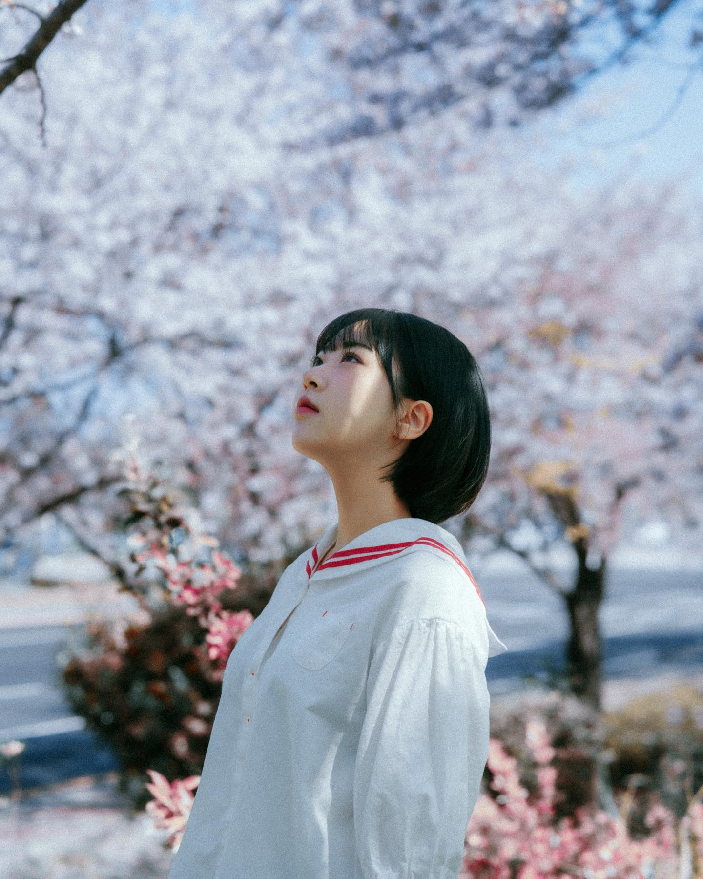 잼민 바이브