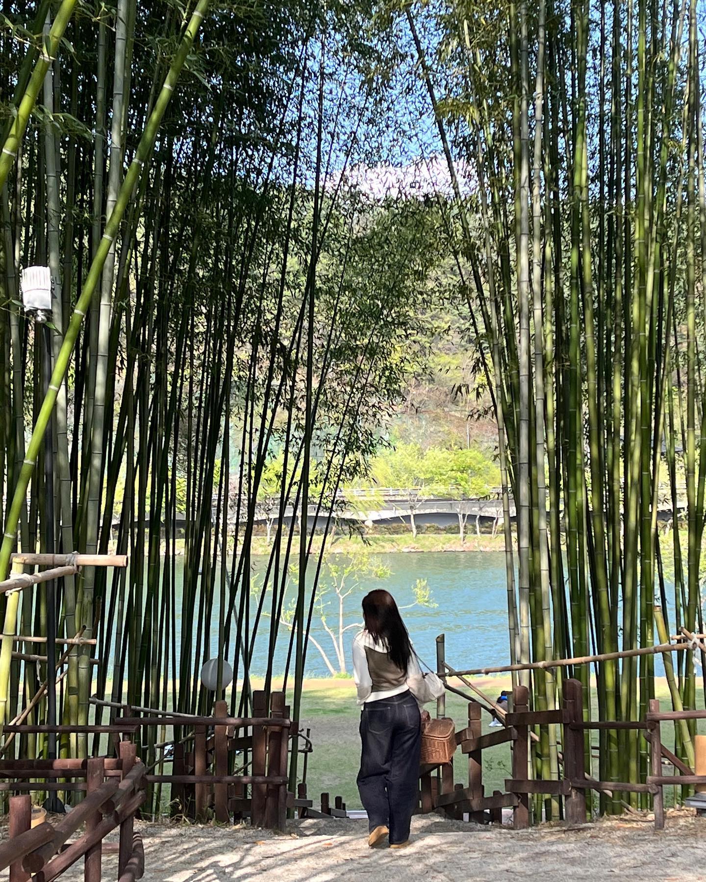 바람이랑 싸우다 온 피크닉🌿