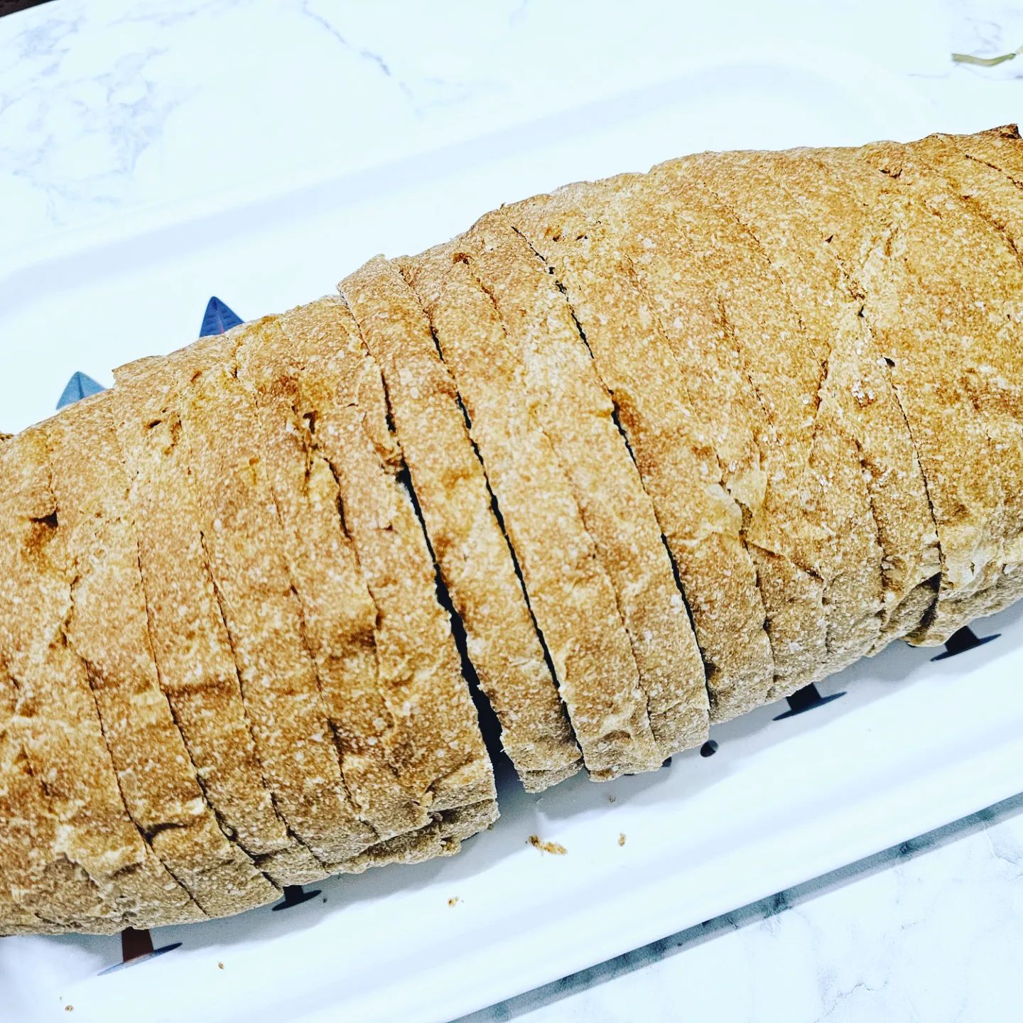 #협찬
#제품제공
#세상맛집
#세상맛있는거
#직스더브레드
#장발장통밀빵
#통밀빵
#오픈샌드위치
#홈브런치
#다이어트식단
#다이어트빵
#글루텐프리빵
#통밀식빵
#단백질빵
#비건빵
#빵맛집
#치아바타샌드위치
#식사대용빵
#선팔하면맞팔
#서이추환영

📌밀가루 안 들어간 살 안찌는 통밀빵 장발장
📌직접 배양해서 자연발효한 유기농 통밀 100%
📌장시간 저온 숙성과 긴 발효시간으로 더 맛있는 통밀빵
📌당일제작! 당일발송! 신선한 비건빵
📌꼭 따뜻하게 데워드세요!