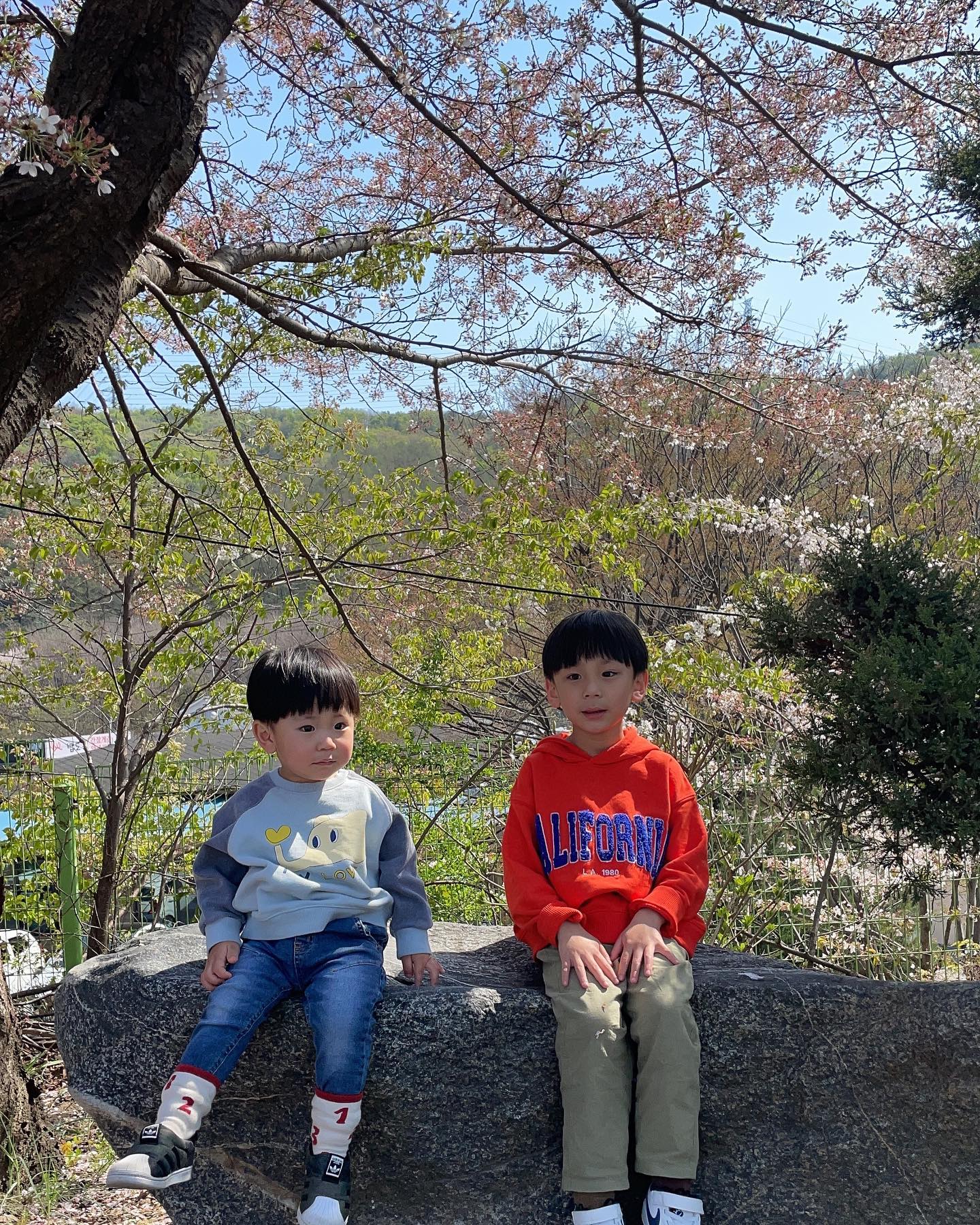 형아 조하~~ 형아가 하면 모든지 따라서 하고픈 
22갤 막둥씨, 그렇게 좋은형아가 마음에 조금이라도 스크레치 내면 쪼르르 엄마빠에게 고자질 열심으로 억울한 마음을 표현하고 금새또 사이좋아져서 알콩달콩 잘 노는 아들둘 일상🧒👶
.
#무한반복중
#허브라더스 #22개월아기 #7살아들 #아들둘