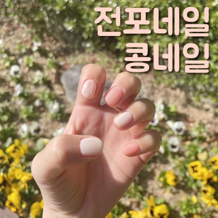 전포 네일 콩네일에서 코랄 트위드 이달의아트 받고 왔어요