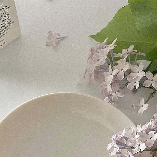 #일상 #취향 #기록 on Instagram: "#광고 #리튼온워터(@written.on.water)

번아웃 오거나 삶에 지칠 때
좋아 하는 향 맡으면서 명상 하면 넘 조은데
#투모로우바디워시 사용 하면
샤워 하는 동안 명상 하는 기분🧘🏻

패키지도 너무 예쁜데
향이 진짜 미쳤음,,
내가 진짜 진짜 사랑하는 향,,

베르가못, 페퍼민트 소나무에서 시작 →
패출리, 엠버와 시더우드로 마무리
청량하고 따뜻한 새벽의 숲길 느낌🌳

심지어
긴장된 근육과 피부 진정/ 쿨다운/ 각질케어/ 활성산소 제거에
도움 주는 성분까지 있어서 운동하고 사용 하기에도 넘 좋고,

젤타입인데 엄청 부드럽고 풍성한 거품이 나서
소량만 사용 해도 되는데 +  성분까지 완벽 그 잡채,,🤍

▫️용량: 300ml
▫️여드름성 피부 완화 도움 기능성
▫️성분:
편백
페퍼민트잎수
베르가못잎추출물
바하(BHA) 성분
쐐기풀추출물
히비스커스초고압추출물
워터민트
폴리페놀스타후르츠열매추출물 등
-

🍯: 공식몰 구입시,
펌프 + 51% 콜라보 메탈릭스티커 + 엽서 한정 증정 중❕

-
#바디워시 #여드름기능성 #스포츠워시 #액티브라이프스타일 #오운완 #리튼온워터 #투모로우"
