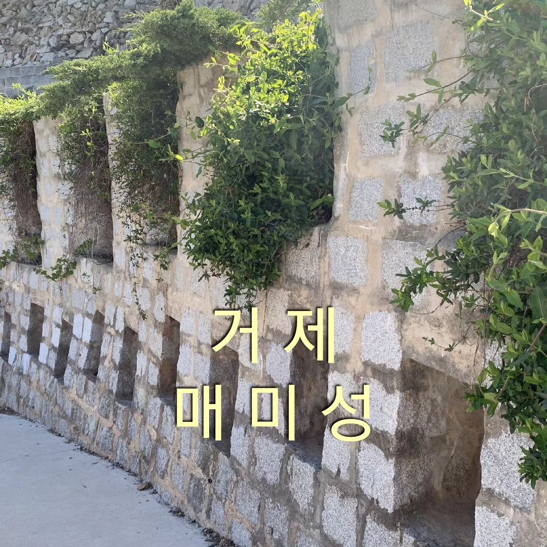 #거제 #매미성 #거제도여행필수코스 
#거제도여행 #포토스팟 #구석구석 
#전국방방곡곡 #여행스타그램 

위치 : 경남 거제시 장목면 복항길
공용주차장이 있어요~
#사람많음주의 #차량많음주의

거제에가면 꼭 가볼만한 곳
여기 매미성 입니다~💕

개인이 지어올린 성이라는데
유럽의 어느 성처럼
사진을 찍으면 너무너무 예쁘게 잘 나오는

연인들의 #데이트코스 로 딱!! 좋은 곳~ 👍

바다뷰에 
멀리  #거가대교 가 보이고
앞바다에서 #제트스키 를 타고 노시는~~^^

한적하고 바다바람 시원한 
예쁜 몽돌을 찾아보기도 하고
맨발로 걸어도 보는❤️❤️

거제 매미성이었습니다 ❣️