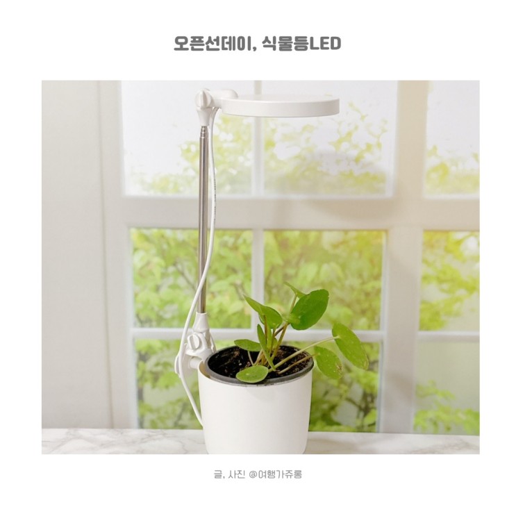 식물LED 건강한 성장을 돕는 타이머 있는 오픈선데이