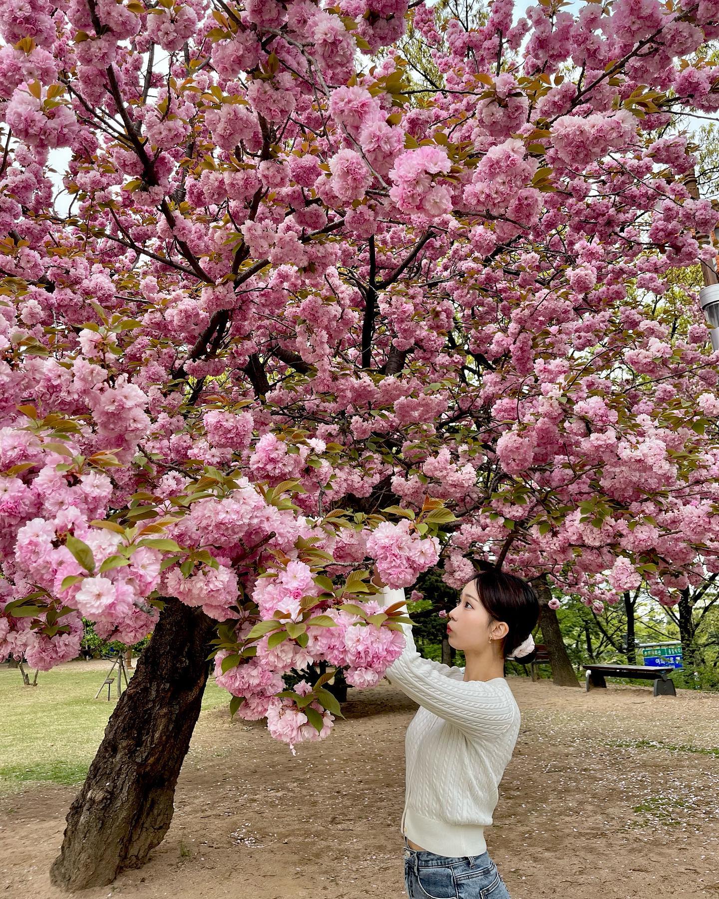 🌸🌸🌸🌸🌸🌸🌸🌸🌸🌸🌸🌸🌸🌸🌸🌸🌸🌸🌸🌸🌸🌸🌸🌸🌸🌸🌸🌸🌸🌸🌸🌸🌸🌸🌸🌸🌸🌸🌸🌸🌸🌸🌸🌸