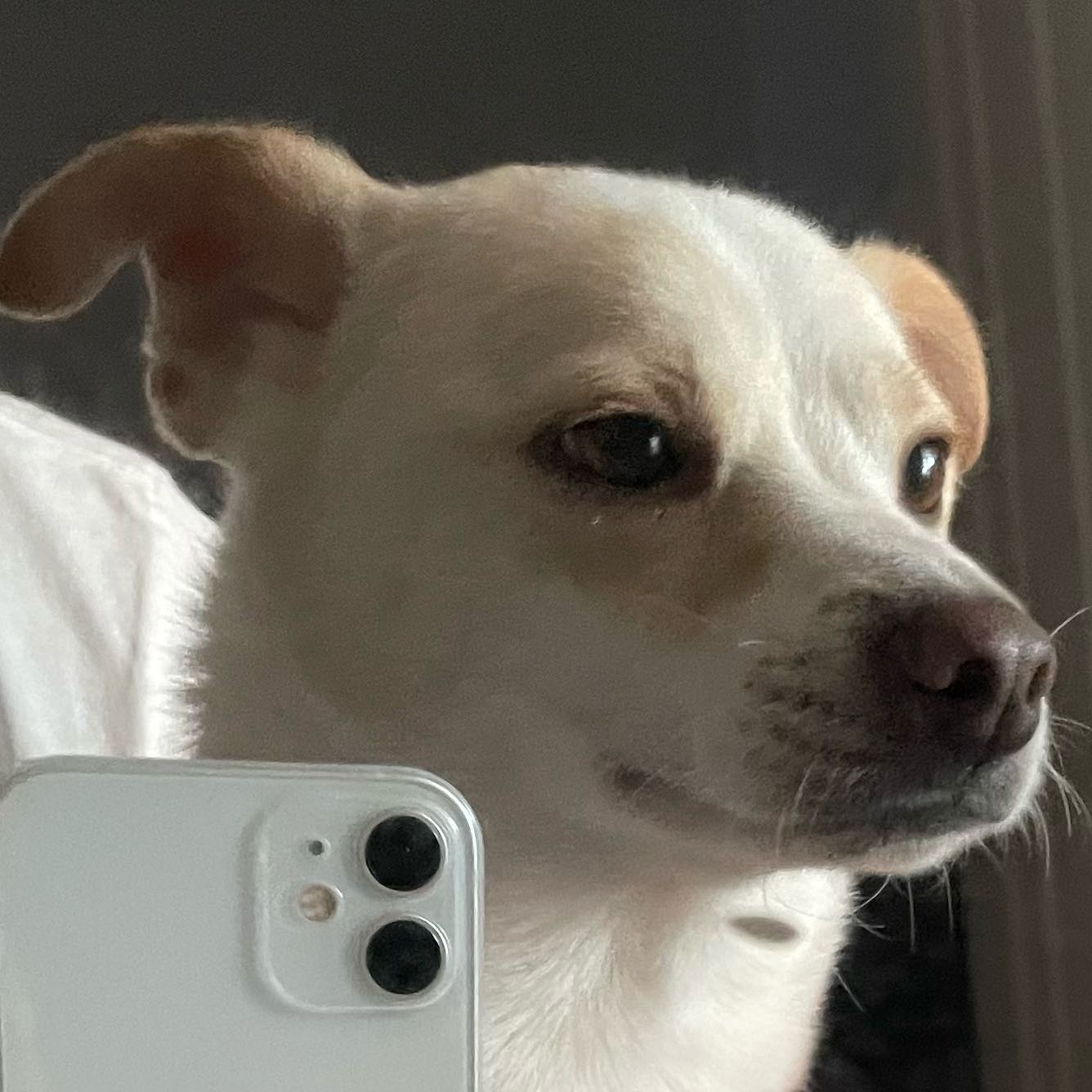 거울 셀카