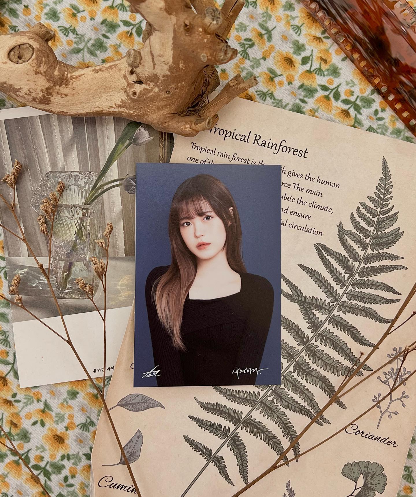 🎂𝑯𝑩𝑫 𝑻𝒐 𝑴𝒆🎂