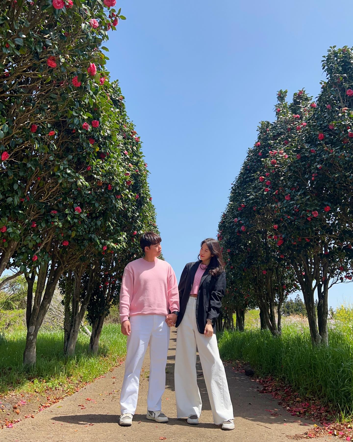 겹동백길🌷💚