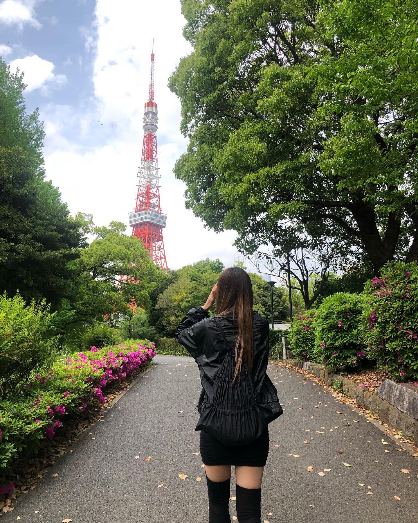 shiba park🌳🌿
