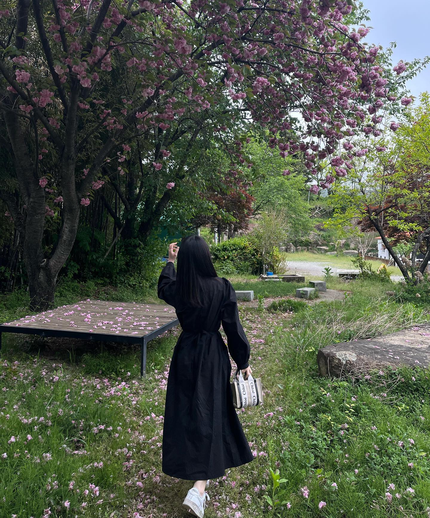 겹벚꽃 막차타기🌸