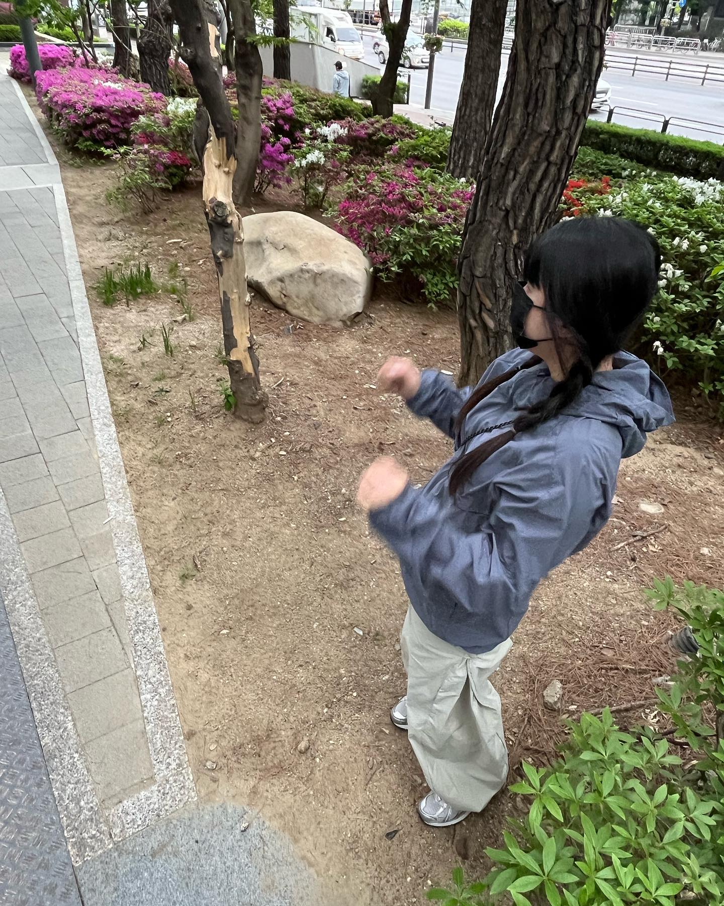 ꉂꉂ ( ˆᴗˆ )