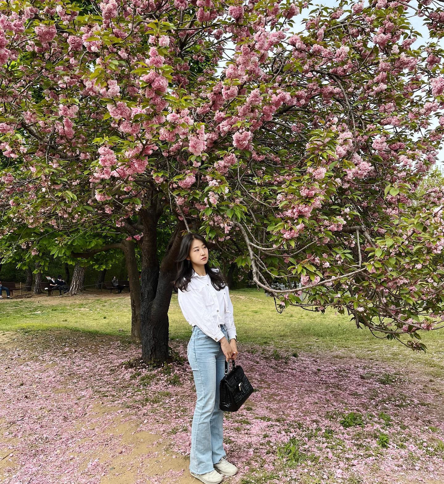 겹벚꽃 못볼 줄 알았는데!!
실제로 보니깐 솜뭉치처럼 귀엽더라구요🙃🙂