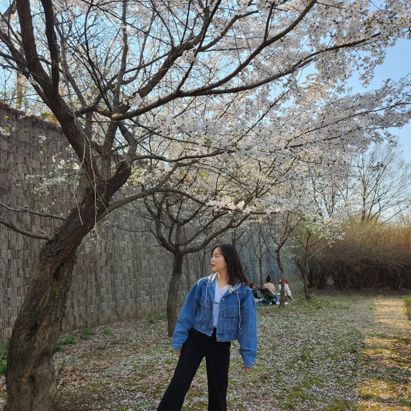 봄 최애 자켓, 청자켓💙🩵
⠀
주머니가 페이크라는 사실 알았을때도 귀여워쥬금🤭🤭
남편이랑 시밀러룩일때는 특히나 더 좋아쥬금😊😊

#청자켓 #시밀러룩 #ootd