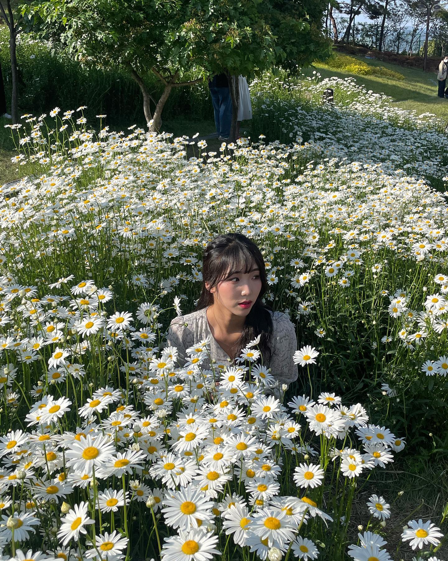 #계란후라이