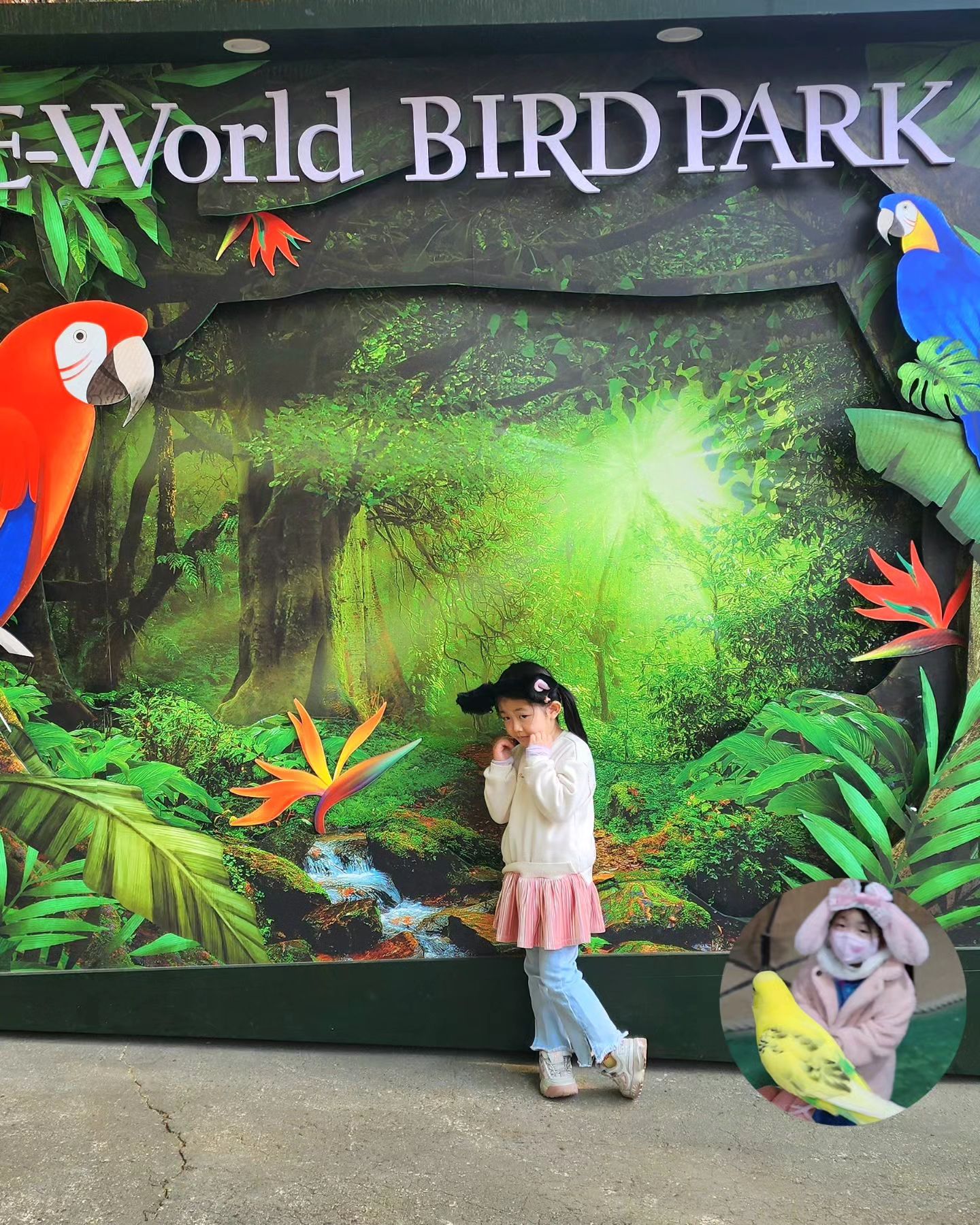 🐦 새들과 교감하는 시간♡

토끼랑 다른동물 먹이주고 남은 당근보고
몰려든 새들 깜짝놀란예서ㅋㅋㅋ
너무 갑자기 우르르 몰린
(당근은 주면안된대요~~)

새모이로 다시 밥주기
4.뚜잉이👼"엄마~~ 이것좀 주세요~~새한테!  새야~~~🩵💛🐦🦜"

언니쁘니는 👸"엄마,저도무서워요~~~ㅜ"하면서도 파랑새는좋아요ㅋㅋ

엄마도 아이도 즐거운 새체험장
이번에 이월드에 앵무새만 따로
새롭게 단장했대요~!

우리는 시간안되서못본ㅠ 밖에서 잠시보기
5시까지운영해요ㅎㅎㅎ참고하세요
🪧 운영시간은 맨끝피드에 첨부했어유🦜

#육아맘트립#부산마미

#어린이날#놀이동산
#부산어린이날#부산근교아이랑
#대구이월드#이월드#놀이공원
#대구아이랑갈만한곳#두딸램 
#7세#5세#부산맘#대구핫플