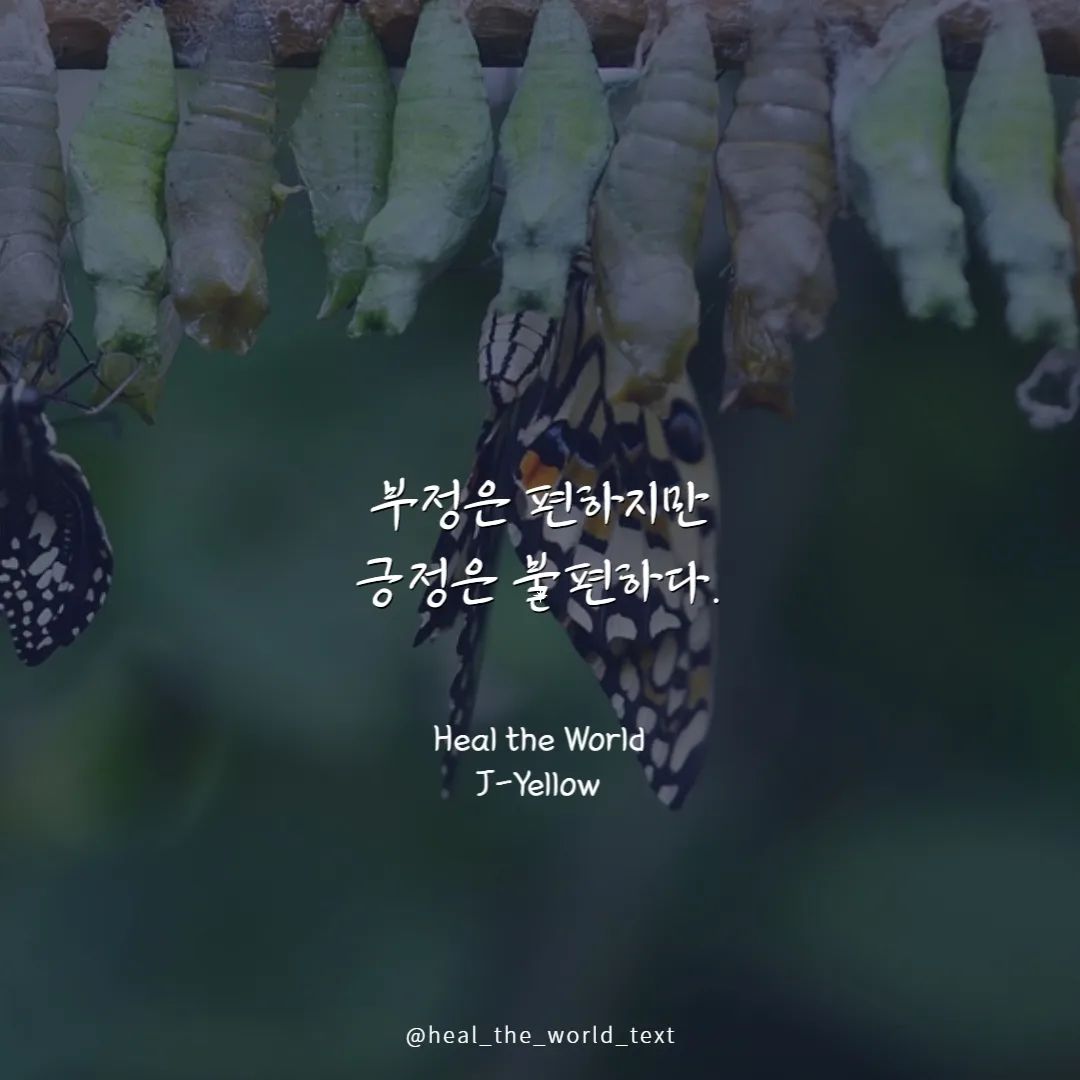 부정적인 생각은 정말 편하다.

어떠한 형태로든 내가 무언가를 하지 않아도 될 이유가 만들어지다보니, 생각과 마음은 불편해도, 몸은 불편하지 않다.

반면 긍정적인 생각은 정말 불편하다.

어떠한 형태로든 내가 무언가를 해야만하는 이유가 만들어지다보니, 몸이 그만큼 움직일 수 밖에 없게 된다.

긍정보다는 부정이 편할 수 밖에 없다는 사실은
단어가 주는 의미와 다르게 아이러니하게 다가온다.

하지만 그 불편함이야말로
나를 살리는 방법이다.

모든 생명은
불편함 속에서 더 나은 방법을 찾게 되고,
불편함 속에서 진화해왔다.

애벌레는 나비가 되기 위해
번데기 속에서 온 몸을 녹이는 불편함을 겪어야하고,

바닷가재는 더 오래 살기 위해
스스로 자신의 몸을 부수어야하는 것처럼.

그렇다면 나는 고여있는 썩은 물이 되기보다,
더 불편해짐을 택하겠다.

#부정보다 #긍정 #힐더월드

#좋은말 #좋은글 #좋은생각 #좋은문구 
#좋은문장 #동기부여글귀 #동기부여문장 
#감성캘리그라피 #감성글 #하루한줄 #감성글 
#감성글귀 #에세이 #에세이스타그램 #작가 
#작가지망생 #글쟁이 #씀일상적글쓰기
#긍정글귀 #긍정적인생각 #힐링 #힐링글귀 
#부정적인생각 #감성글씨