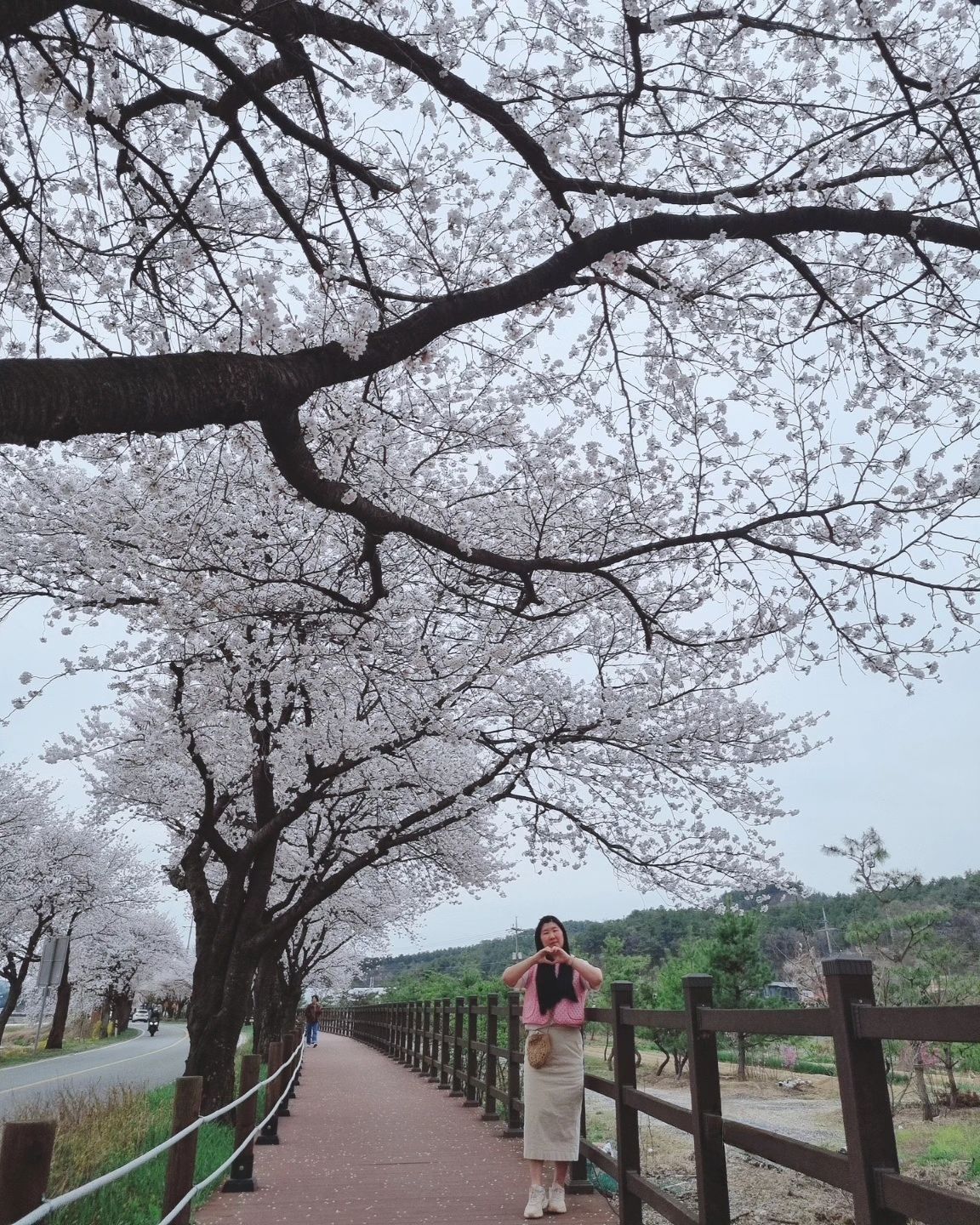 .
𖤐 벚꽃피드🙈🌸

비소식에 아쉬움 달래려고, 빨리 왔는데도
끝내 떨어지는 버리는 벚꽃잎들

우리 내년엔 만개한 모습보러올께🫶

벚꽃 다 지고나니
올리는 4월에 북면🌸

<방문날짜 4.4> 

#벚꽃 #벚꽃로드
#벚꽃엔딩 #천안북면 #천안북면벚꽃